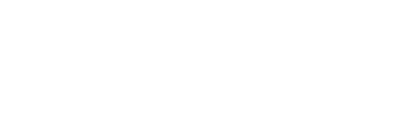 Sponji